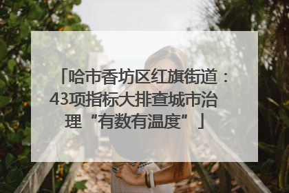 哈市香坊区红旗街道：43项指标大排查城市治理“有数有温度”